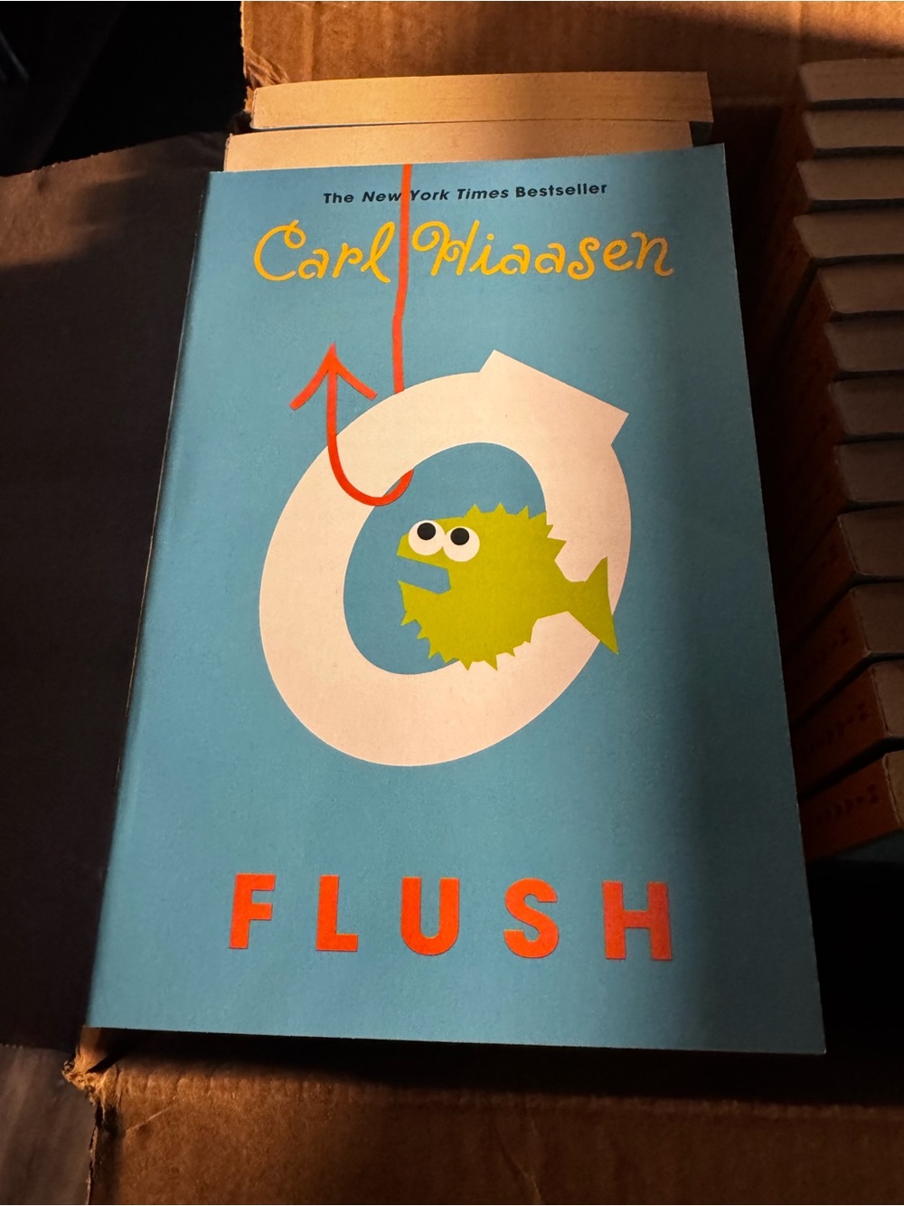 Flush by Carl Hiaasen (2007 Trade Paperback) New Classroom Set Of 20 Please Read